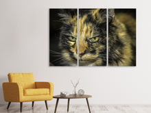 Laden Sie das Bild in den Galerie-Viewer, Leinwandbild 3-teilig Achtung Katze