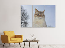 Laden Sie das Bild in den Galerie-Viewer, Leinwandbild 3-teilig Entspannte Katze in der Natur