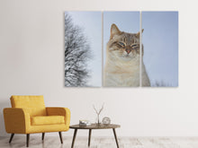 Laden Sie das Bild in den Galerie-Viewer, Leinwandbild 3-teilig Entspannte Katze in der Natur