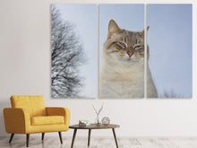 Laden Sie das Bild in den Galerie-Viewer, Leinwandbild 3-teilig Entspannte Katze in der Natur