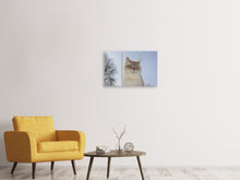Laden Sie das Bild in den Galerie-Viewer, Leinwandbild 3-teilig Entspannte Katze in der Natur