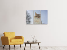 Laden Sie das Bild in den Galerie-Viewer, Leinwandbild 3-teilig Entspannte Katze in der Natur