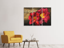 Laden Sie das Bild in den Galerie-Viewer, Leinwandbild 3-teilig Lilien Blüten mit Wassertropfen