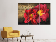 Laden Sie das Bild in den Galerie-Viewer, Leinwandbild 3-teilig Lilien Blüten mit Wassertropfen