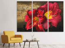 Laden Sie das Bild in den Galerie-Viewer, Leinwandbild 3-teilig Lilien Blüten mit Wassertropfen