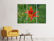 Laden Sie das Bild in den Galerie-Viewer, Leinwandbild 3-teilig Lilienblüte in der Natur