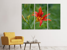 Laden Sie das Bild in den Galerie-Viewer, Leinwandbild 3-teilig Lilienblüte in der Natur