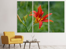 Laden Sie das Bild in den Galerie-Viewer, Leinwandbild 3-teilig Lilienblüte in der Natur