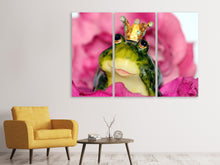 Laden Sie das Bild in den Galerie-Viewer, Leinwandbild 3-teilig Der Froschkönig