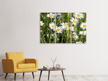 Laden Sie das Bild in den Galerie-Viewer, Leinwandbild 3-teilig XL Gänseblümchen