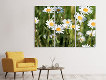Laden Sie das Bild in den Galerie-Viewer, Leinwandbild 3-teilig XL Gänseblümchen