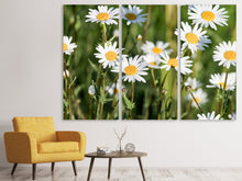 Laden Sie das Bild in den Galerie-Viewer, Leinwandbild 3-teilig XL Gänseblümchen