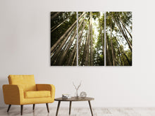 Laden Sie das Bild in den Galerie-Viewer, Leinwandbild 3-teilig Arashiyama Japan