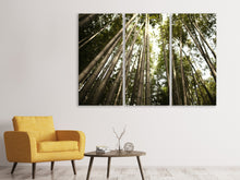 Laden Sie das Bild in den Galerie-Viewer, Leinwandbild 3-teilig Arashiyama Japan