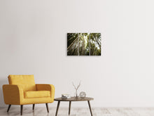 Laden Sie das Bild in den Galerie-Viewer, Leinwandbild 3-teilig Arashiyama Japan