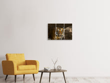 Laden Sie das Bild in den Galerie-Viewer, Leinwandbild 3-teilig Sibirischer Tiger