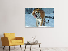 Laden Sie das Bild in den Galerie-Viewer, Leinwandbild 3-teilig Tiger im Schnee