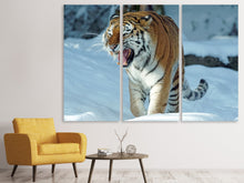 Laden Sie das Bild in den Galerie-Viewer, Leinwandbild 3-teilig Tiger im Schnee