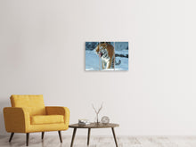 Laden Sie das Bild in den Galerie-Viewer, Leinwandbild 3-teilig Tiger im Schnee