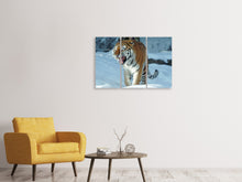 Laden Sie das Bild in den Galerie-Viewer, Leinwandbild 3-teilig Tiger im Schnee