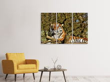 Laden Sie das Bild in den Galerie-Viewer, Leinwandbild 3-teilig Stolzer Tiger