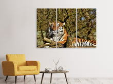 Laden Sie das Bild in den Galerie-Viewer, Leinwandbild 3-teilig Stolzer Tiger