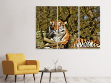 Laden Sie das Bild in den Galerie-Viewer, Leinwandbild 3-teilig Stolzer Tiger