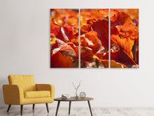 Laden Sie das Bild in den Galerie-Viewer, Leinwandbild 3-teilig Schönes Herbstlaub