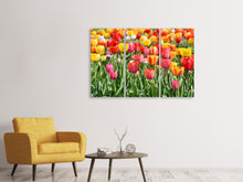 Laden Sie das Bild in den Galerie-Viewer, Leinwandbild 3-teilig Ein buntes Tulpenfeld