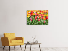 Laden Sie das Bild in den Galerie-Viewer, Leinwandbild 3-teilig Ein buntes Tulpenfeld