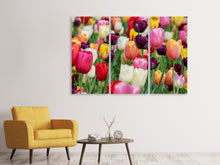 Laden Sie das Bild in den Galerie-Viewer, Leinwandbild 3-teilig Die Farben der Tulpen