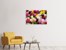 Laden Sie das Bild in den Galerie-Viewer, Leinwandbild 3-teilig Buntes Tulpenfeld