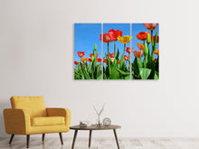 Laden Sie das Bild in den Galerie-Viewer, Leinwandbild 3-teilig Wilde Tulpen