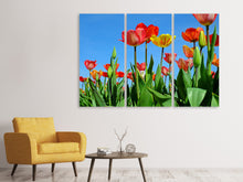 Laden Sie das Bild in den Galerie-Viewer, Leinwandbild 3-teilig Wilde Tulpen