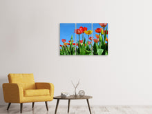 Laden Sie das Bild in den Galerie-Viewer, Leinwandbild 3-teilig Wilde Tulpen