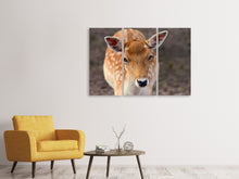 Laden Sie das Bild in den Galerie-Viewer, Leinwandbild 3-teilig Der Damhirsch