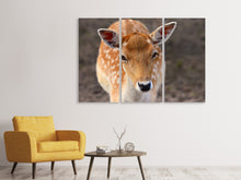 Laden Sie das Bild in den Galerie-Viewer, Leinwandbild 3-teilig Der Damhirsch