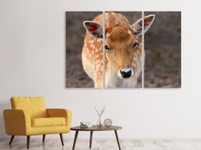 Laden Sie das Bild in den Galerie-Viewer, Leinwandbild 3-teilig Der Damhirsch