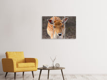 Laden Sie das Bild in den Galerie-Viewer, Leinwandbild 3-teilig Der Damhirsch