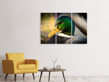 Laden Sie das Bild in den Galerie-Viewer, Leinwandbild 3-teilig Die Stockente