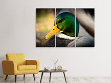 Laden Sie das Bild in den Galerie-Viewer, Leinwandbild 3-teilig Die Stockente