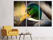 Laden Sie das Bild in den Galerie-Viewer, Leinwandbild 3-teilig Die Stockente