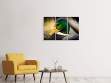 Laden Sie das Bild in den Galerie-Viewer, Leinwandbild 3-teilig Die Stockente