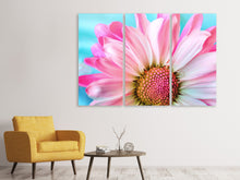 Laden Sie das Bild in den Galerie-Viewer, Leinwandbild 3-teilig Farbige Blume