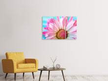 Laden Sie das Bild in den Galerie-Viewer, Leinwandbild 3-teilig Farbige Blume