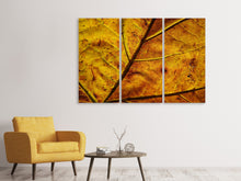 Laden Sie das Bild in den Galerie-Viewer, Leinwandbild 3-teilig Das Herbst Blatt