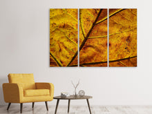 Laden Sie das Bild in den Galerie-Viewer, Leinwandbild 3-teilig Das Herbst Blatt