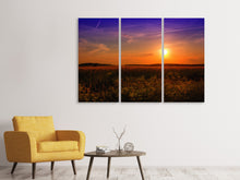 Laden Sie das Bild in den Galerie-Viewer, Leinwandbild 3-teilig Sonnenuntergang am Blumenfeld
