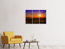 Laden Sie das Bild in den Galerie-Viewer, Leinwandbild 3-teilig Sonnenuntergang am Blumenfeld