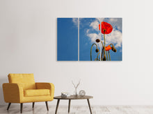 Laden Sie das Bild in den Galerie-Viewer, Leinwandbild 3-teilig Prächtiger Mohn